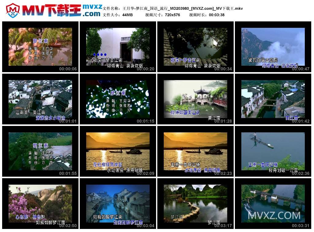 王月华-梦江南_国语_流行_MD203980